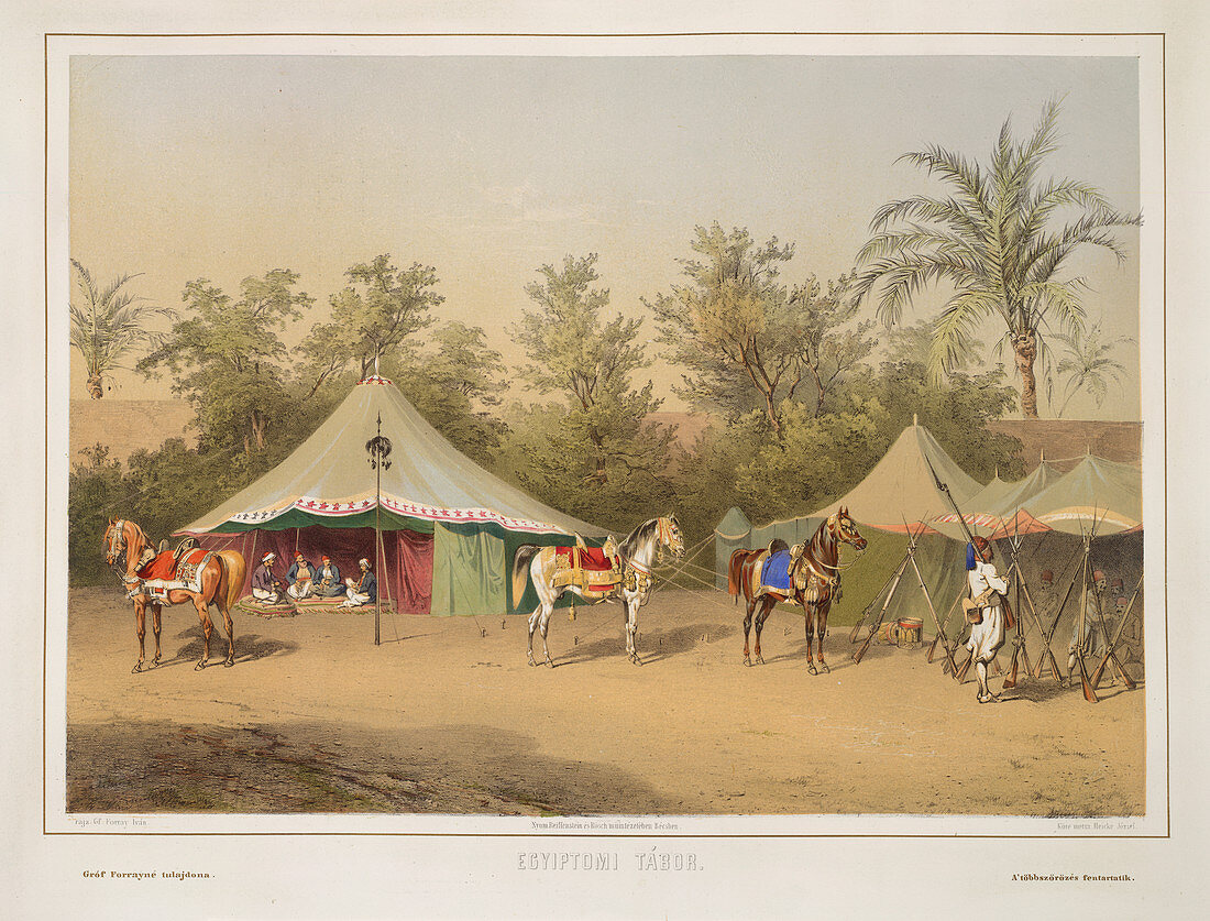 Camp in Egypt