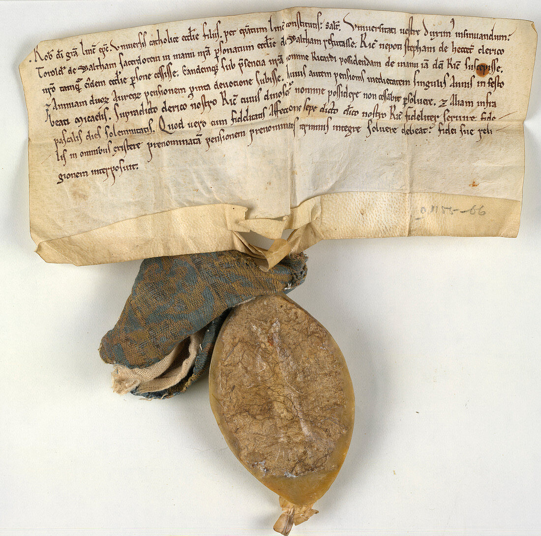 Charter of Waltham on the Wolds