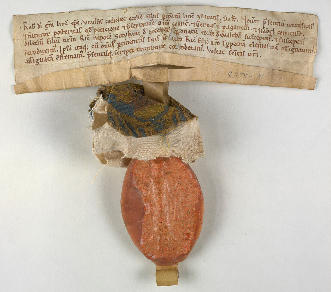 Charter of Waltham in the Wolds