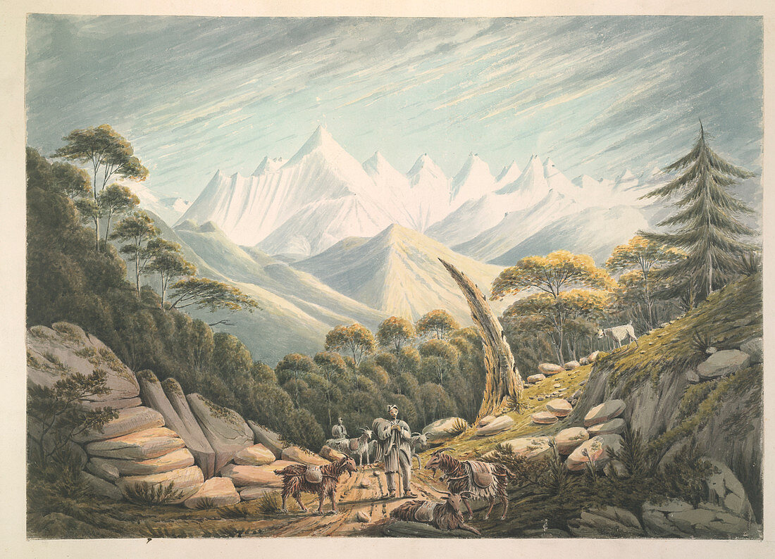 The Himalaya or Snowy Range