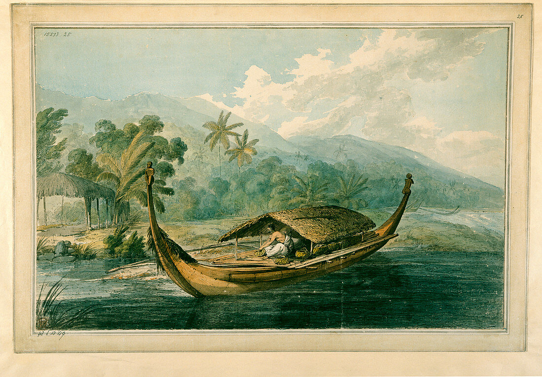Canoe of Raiatea