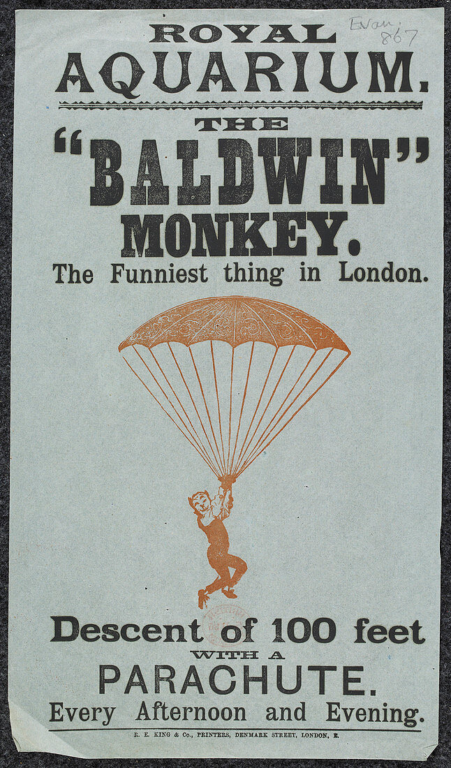 The Baldwin Monkey