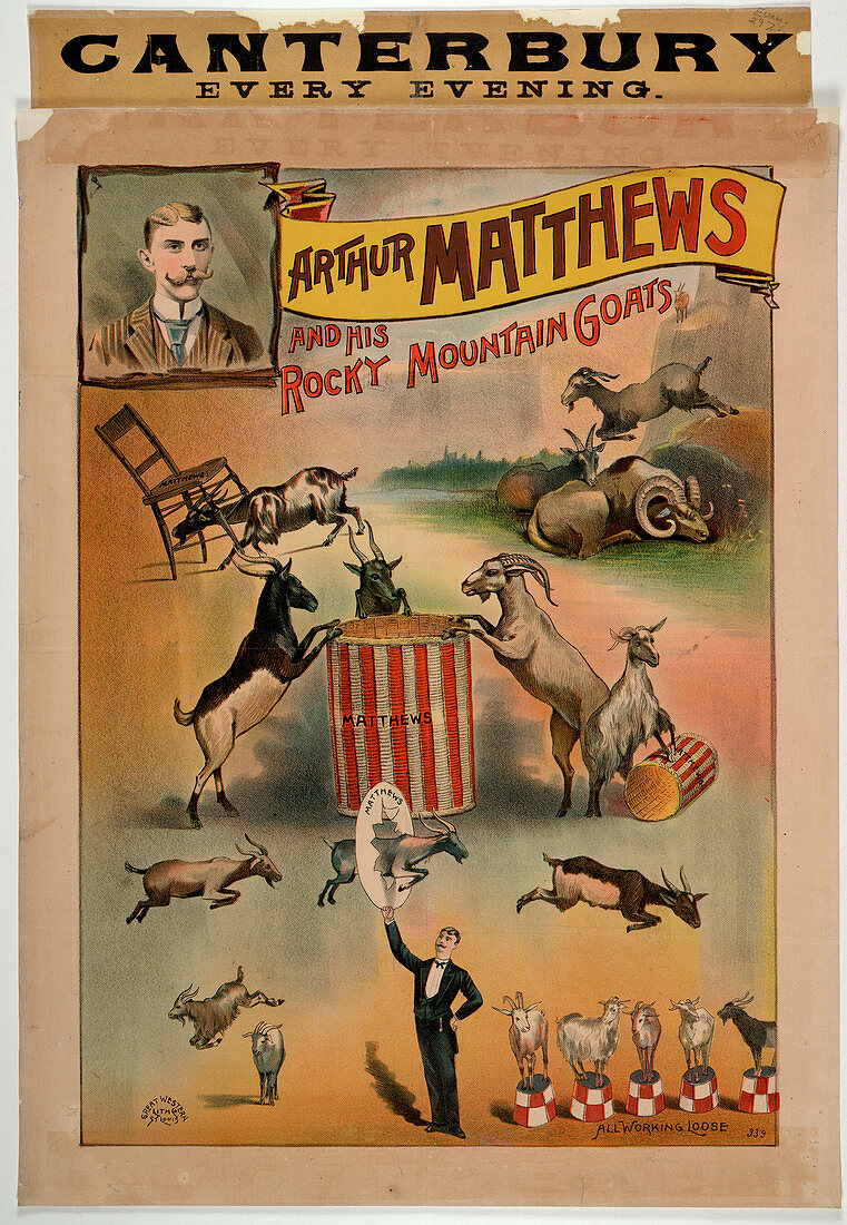 Arthur Matthews and his Rocky Mountain Go