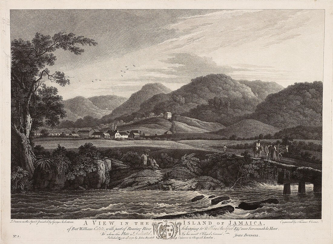 Illustration of view of Jamaican countrys