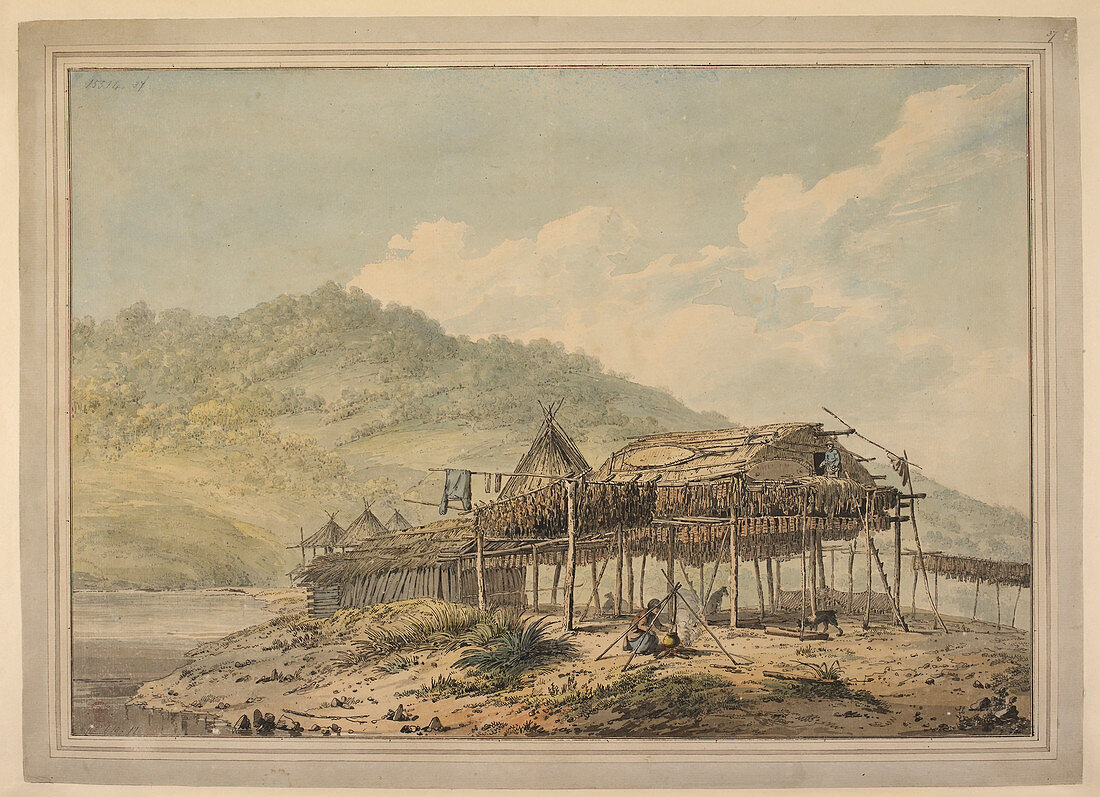 The third voyage of Captain Cook