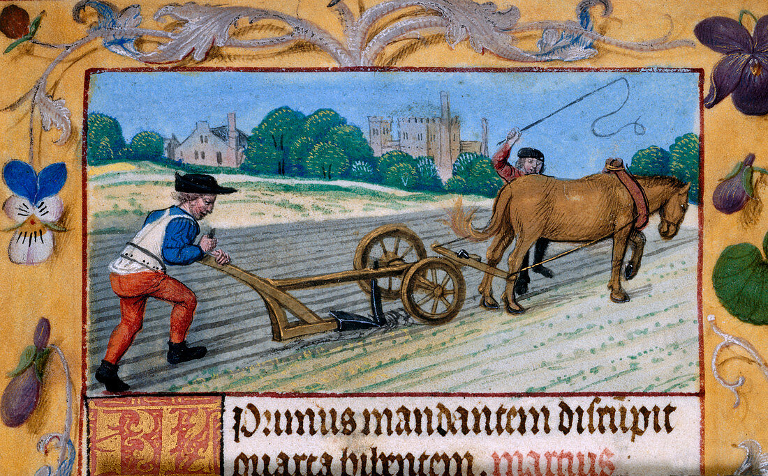 A man with a horsedrawn plough