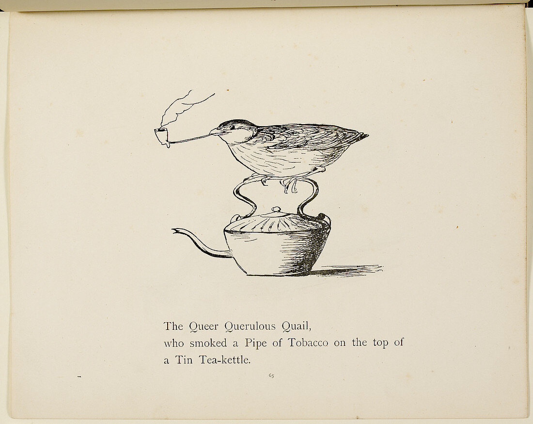 Quail perched on teapot