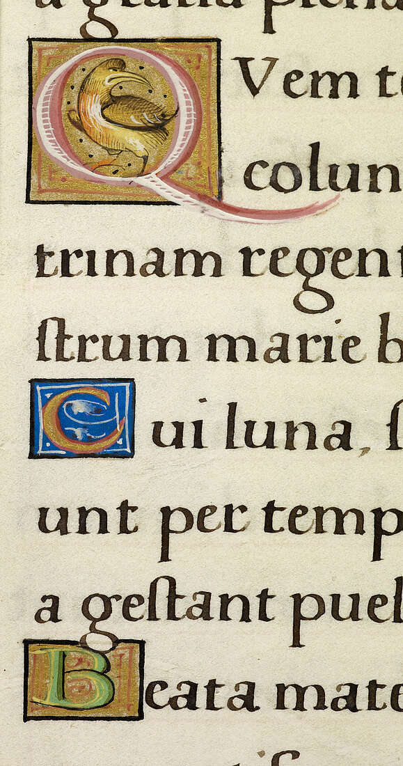 Manuscript ornamental letters Q,C and B