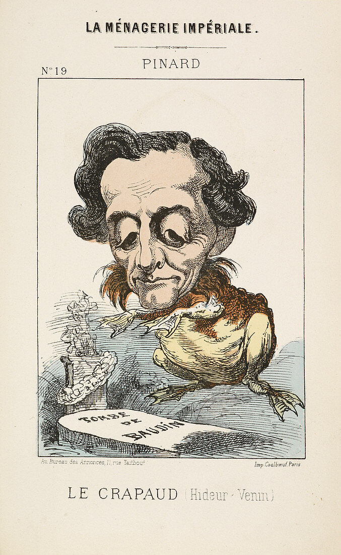 French Caricature - Le Crapaud