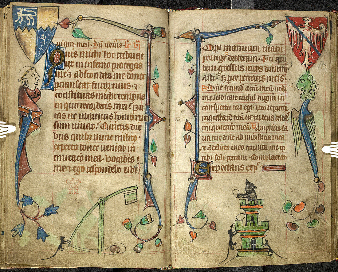 Grotesquesfrom Book of Hours