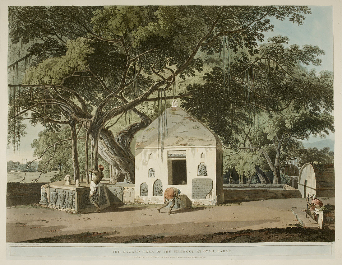 People at a temple under a sacred tree