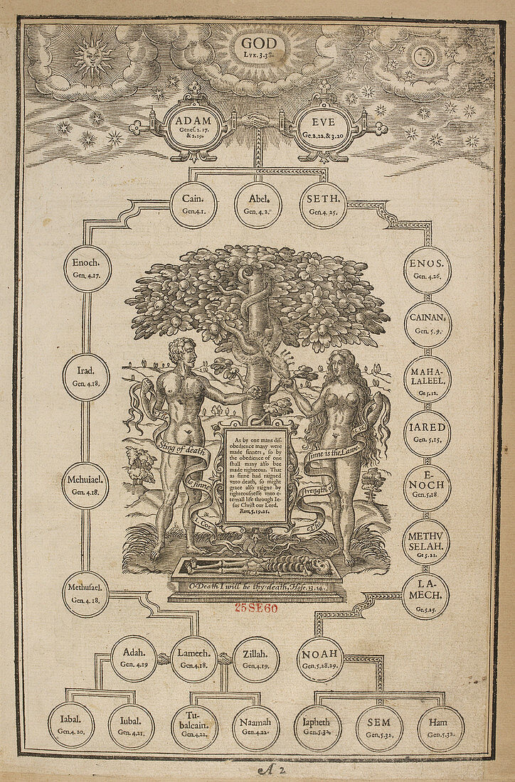 Page of biblical genealogies