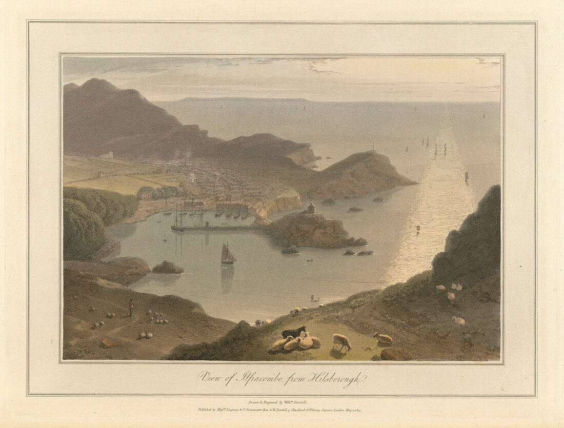 View of Ilfracombe from Hilsborough