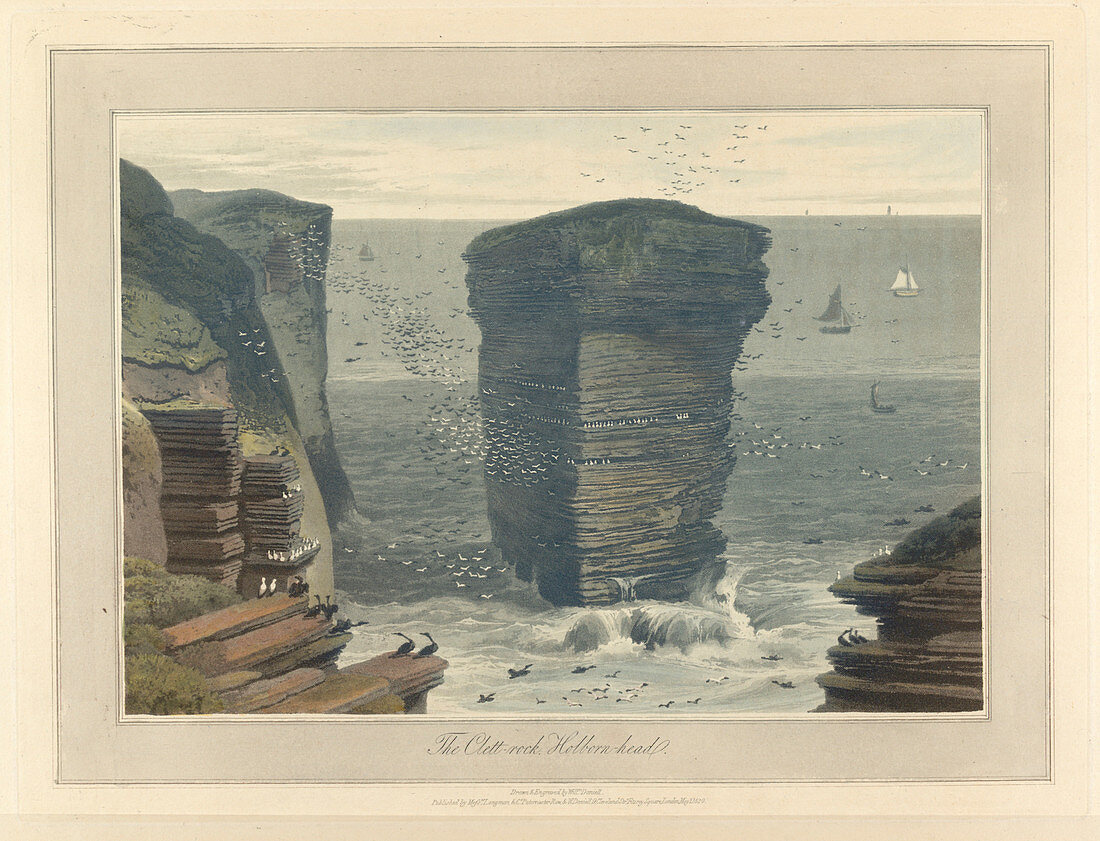 The Clett-rock,Holborn-head