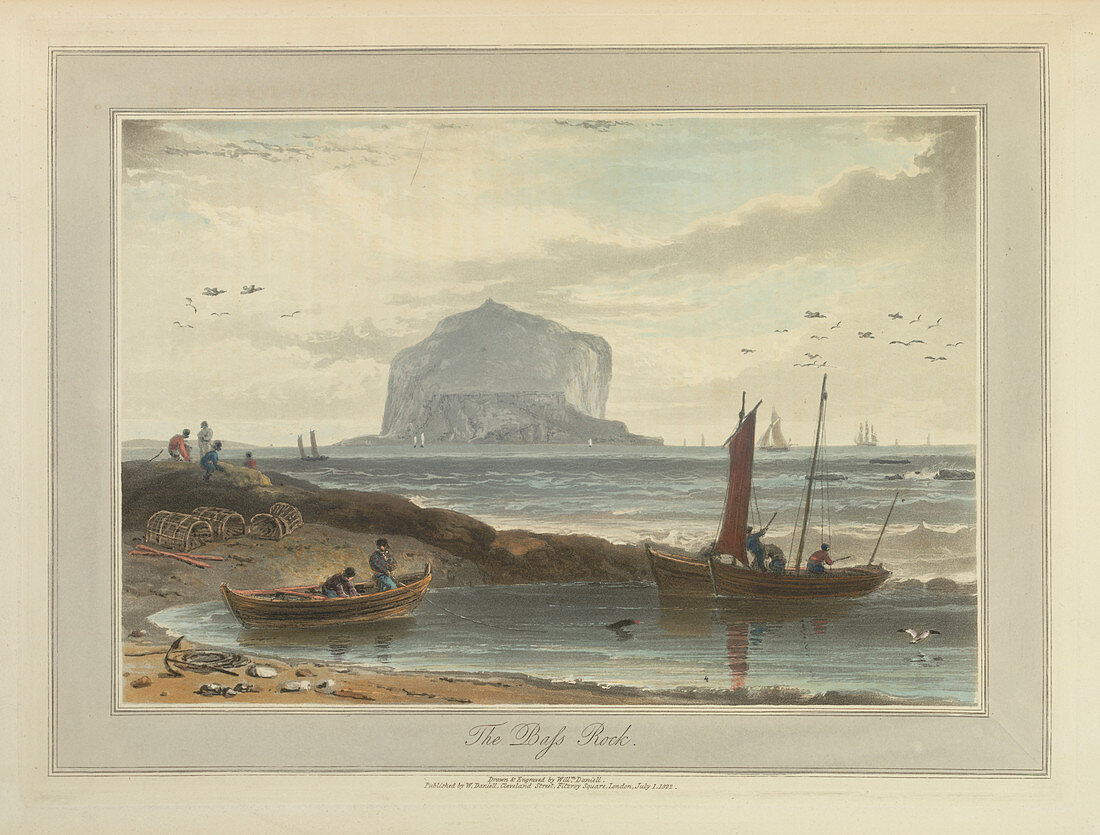 The Bass Rock,Great Britain