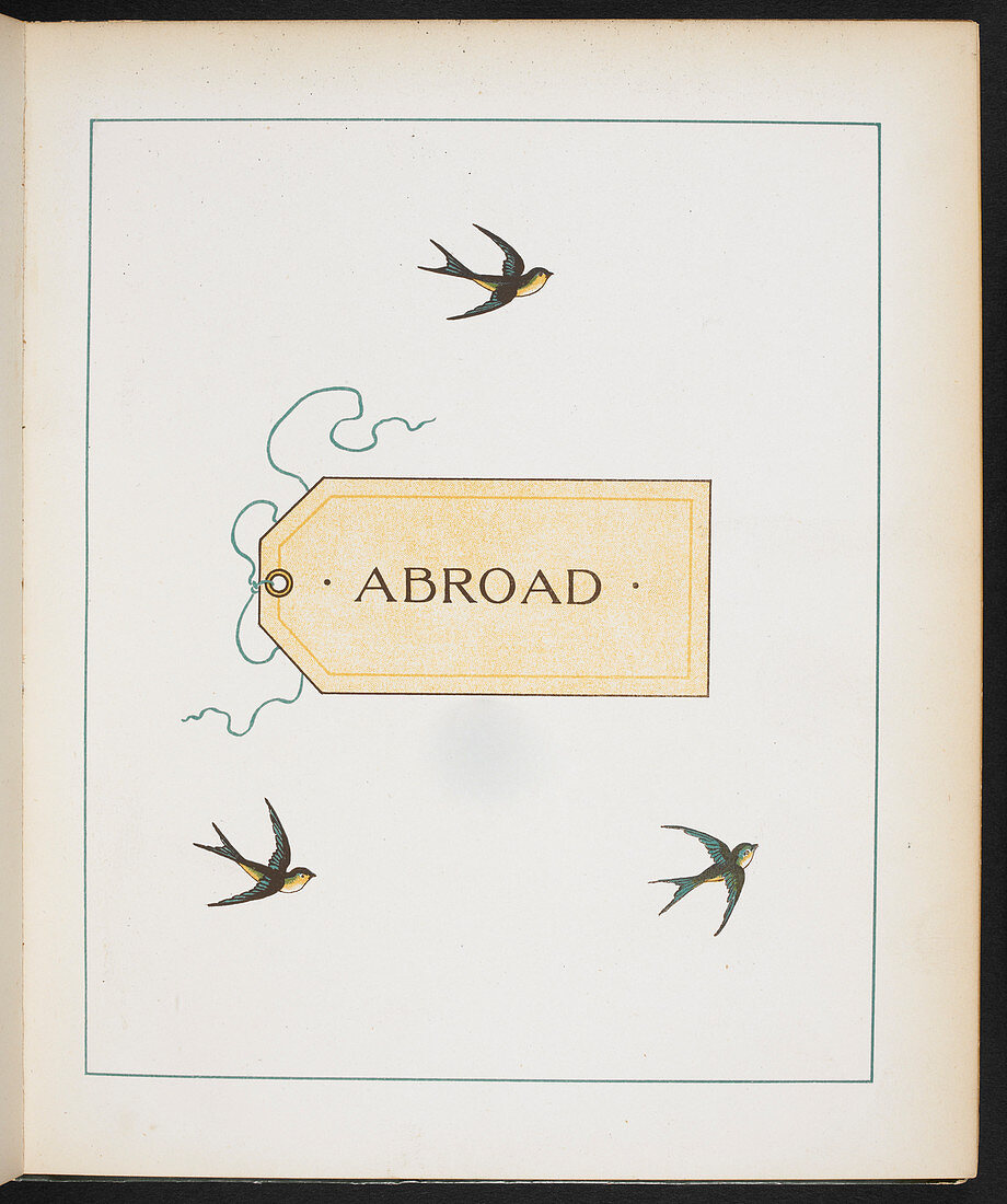 Three birds and a luggage label
