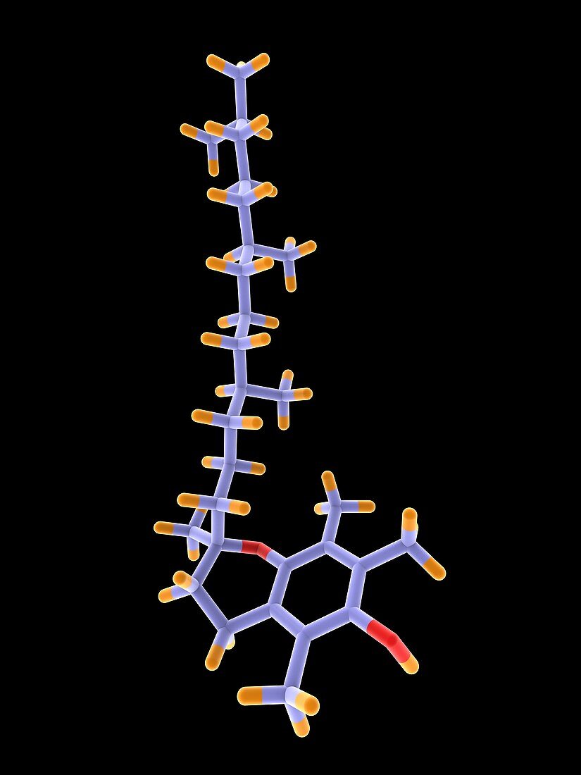 Vitamin E molecule