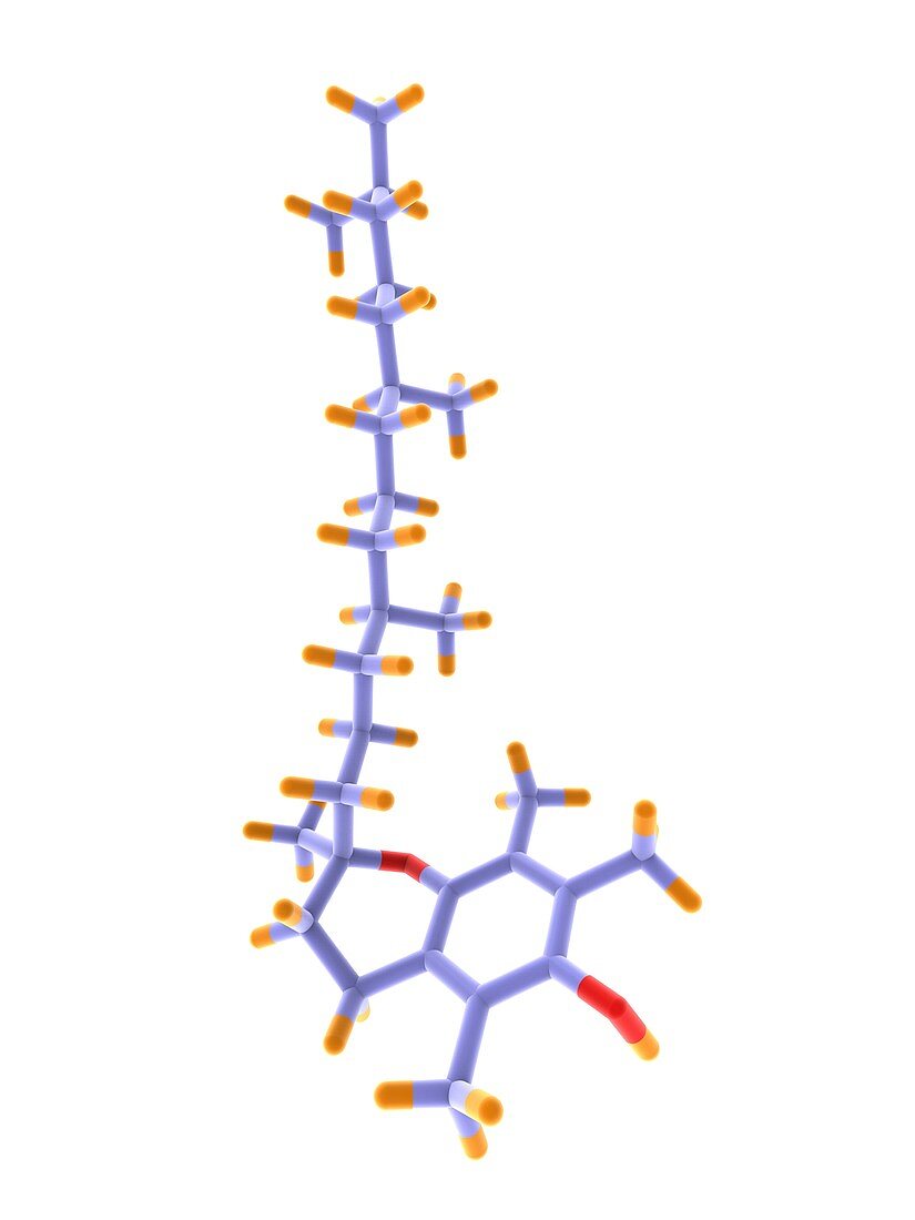 Vitamin E molecule