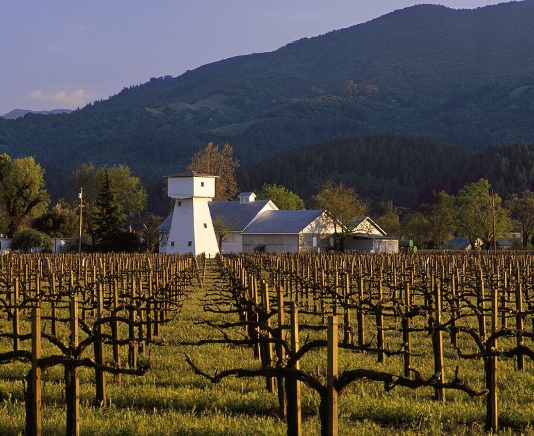 Weingut mit Wasserturm in St. Helena, Napa Valley,Kalifornien