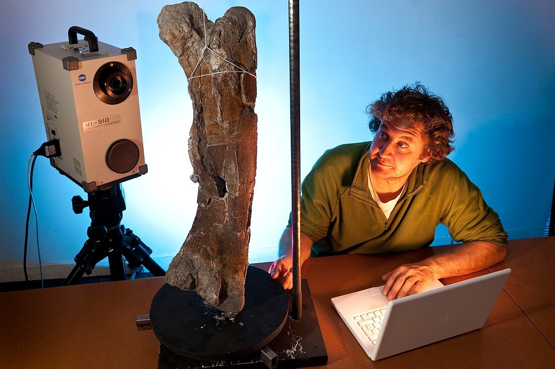 Dinosaur fossil 3D scanning