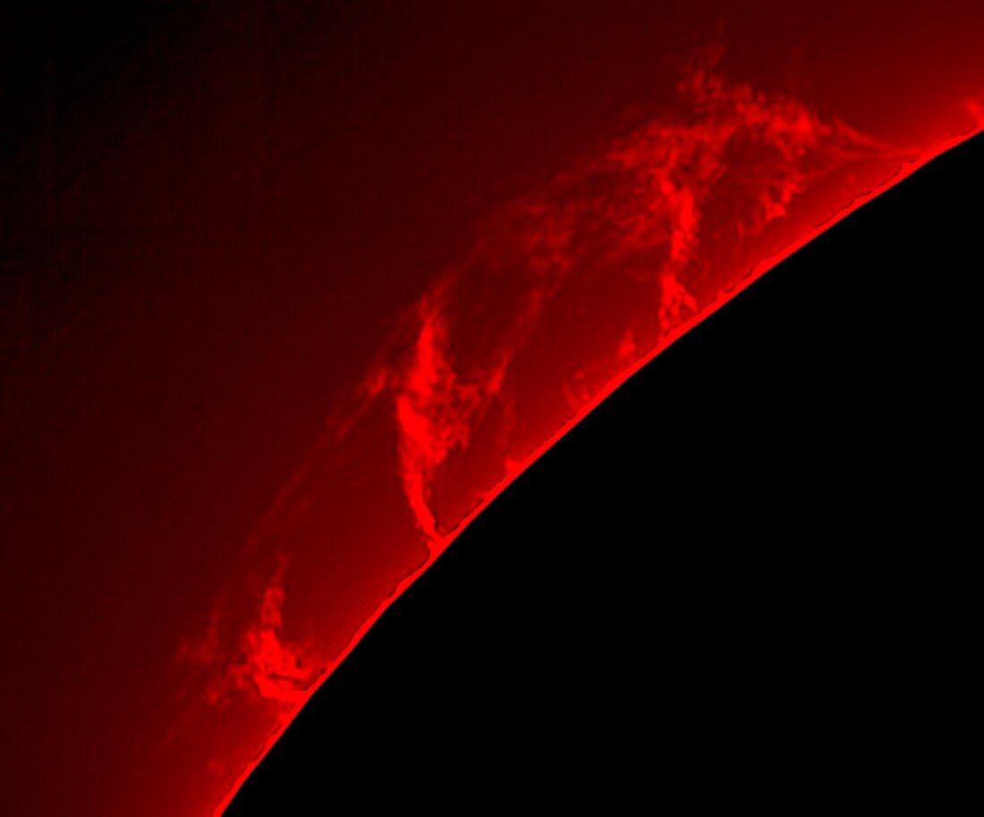 Solar prominences