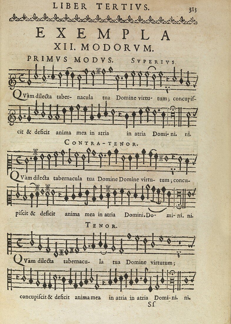 Music theory,17th century