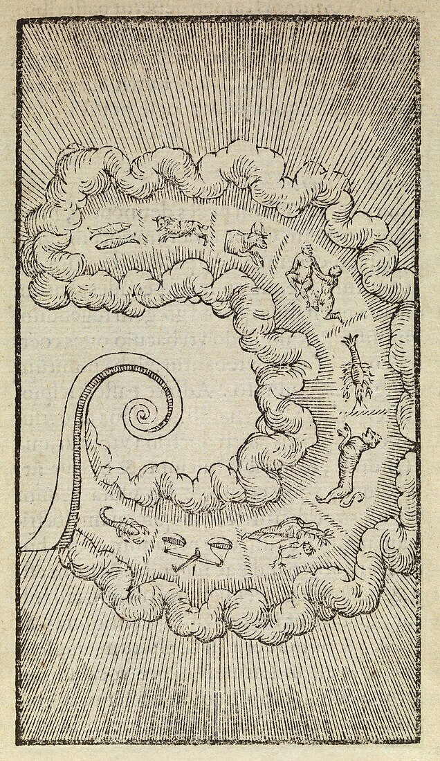 Signs of the zodiac,16th century