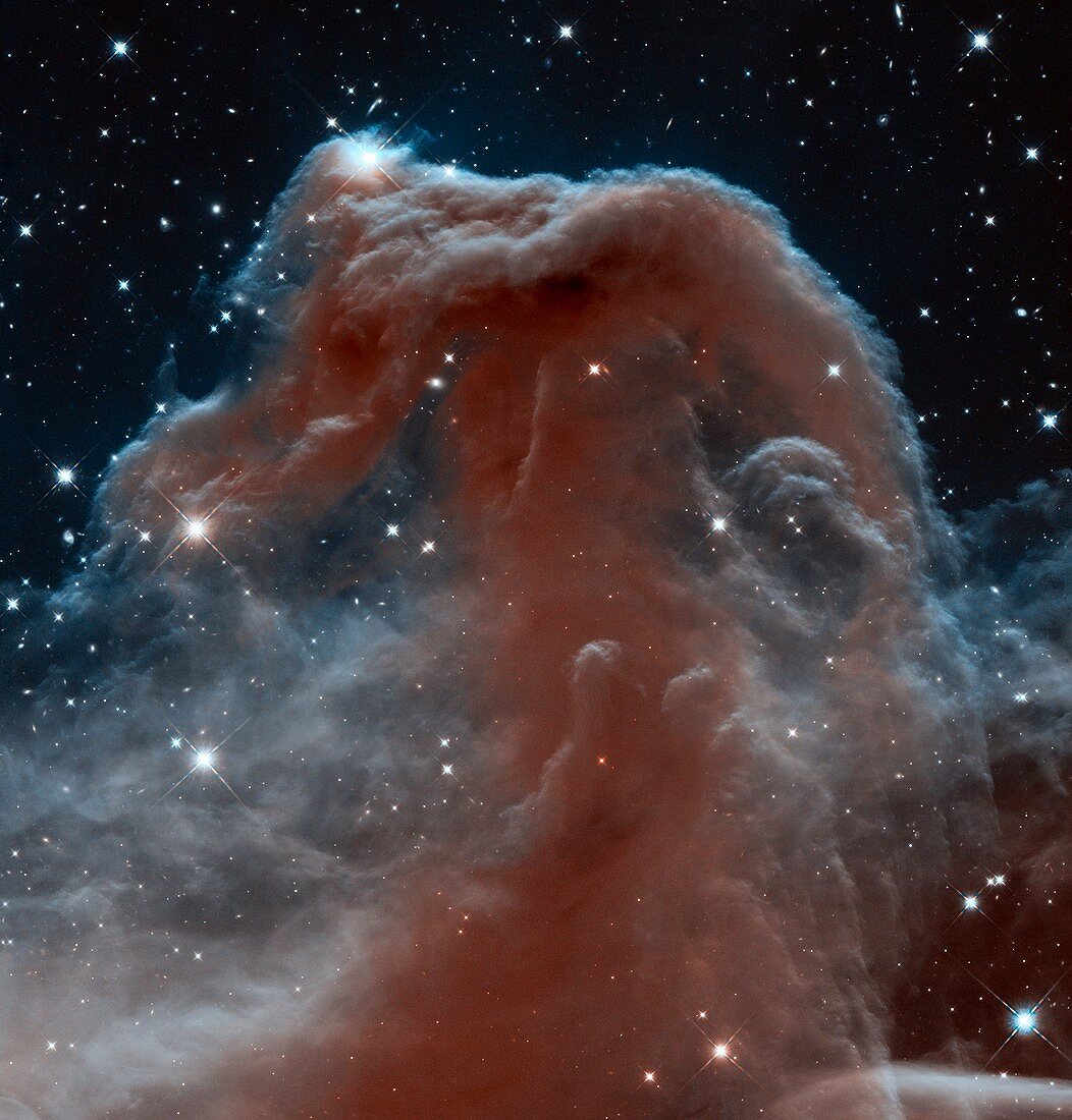Horsehead Nebula,HST image