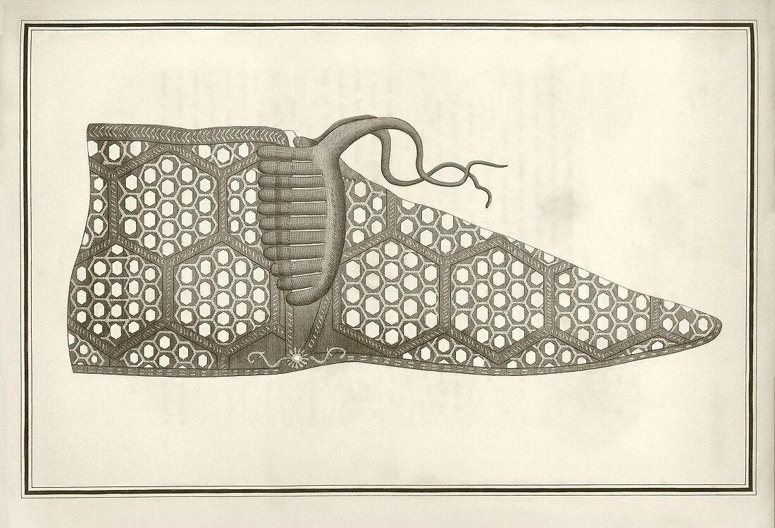 Roman shoe,1803