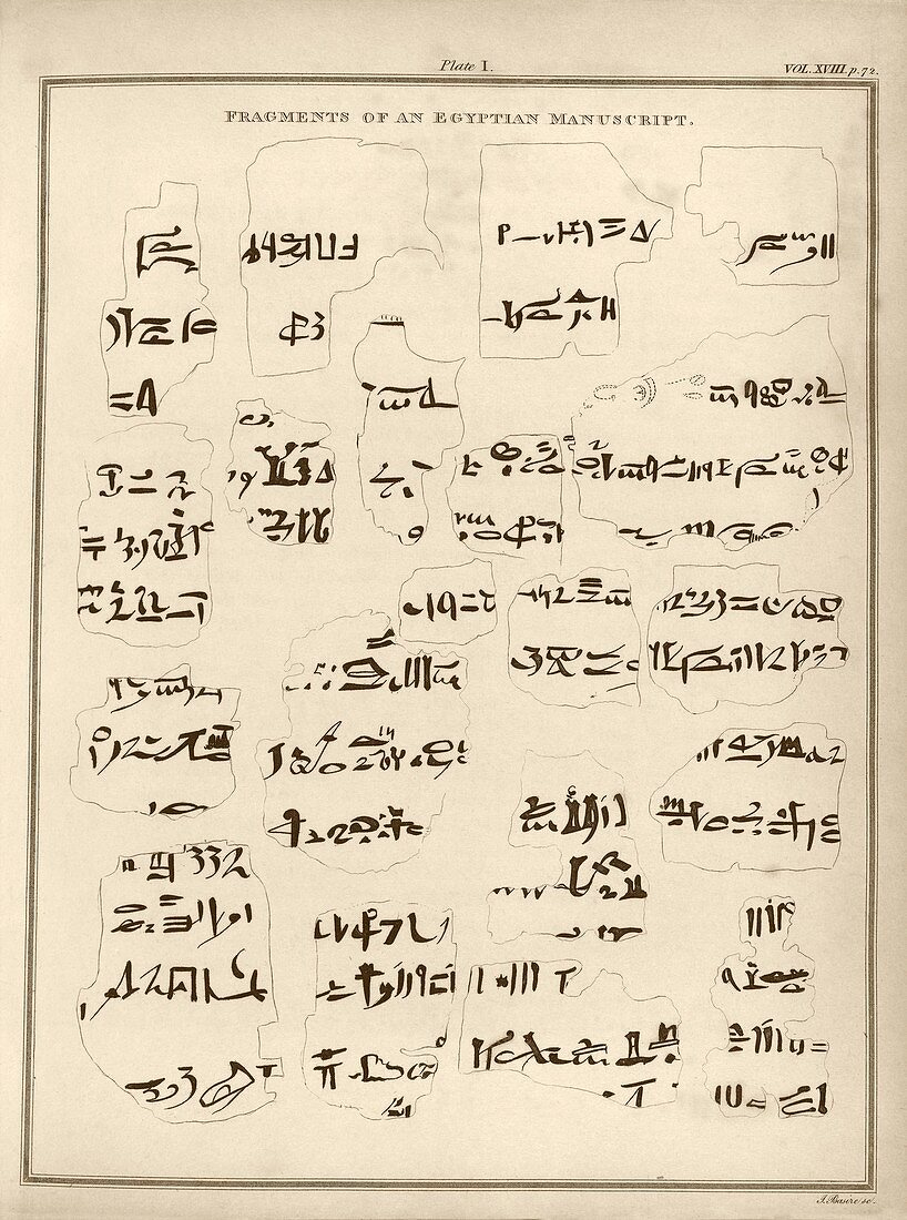 Egyptian manuscript fragments,1817