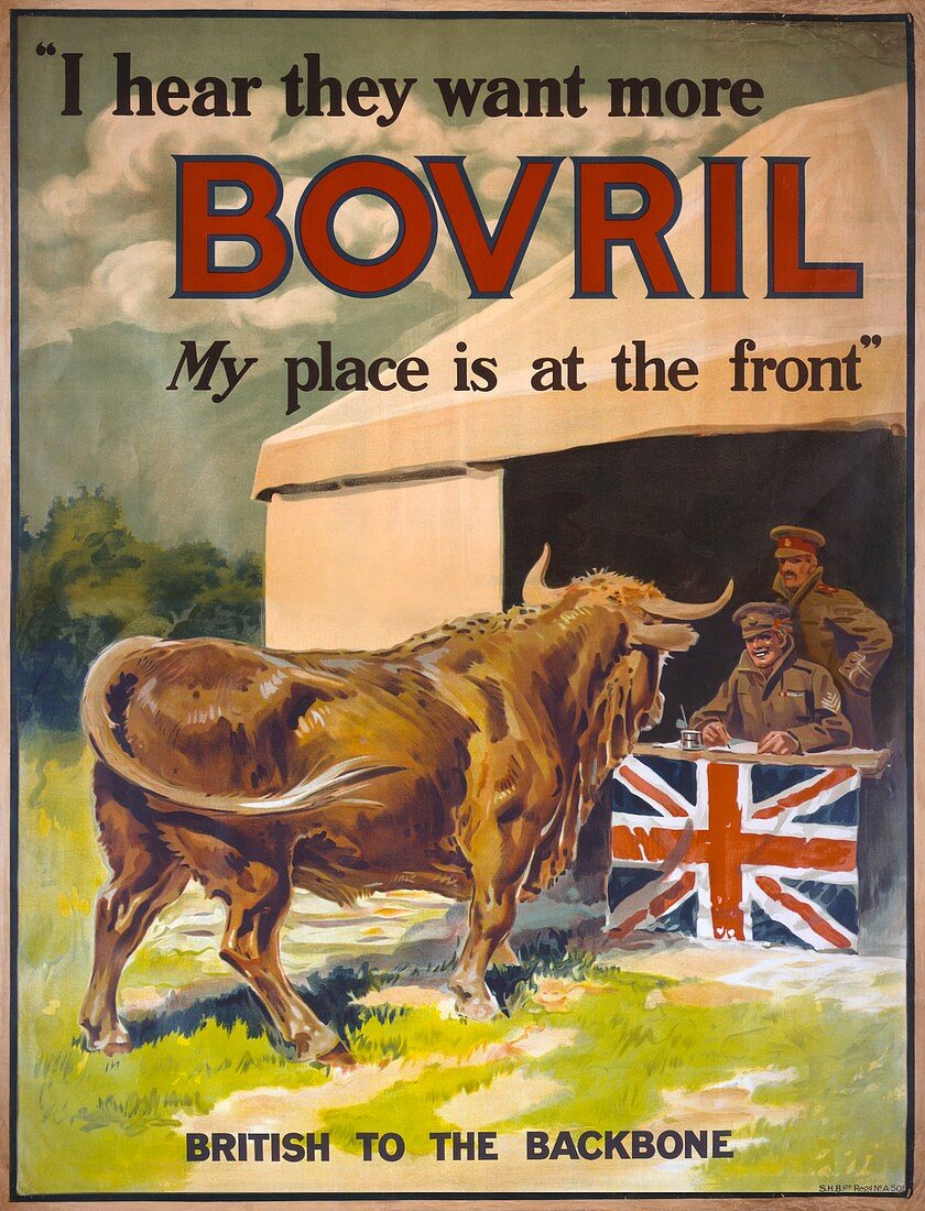 First World War Bovril advert