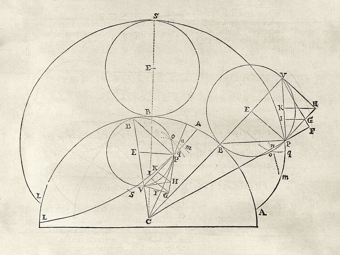 Newton on geometric curves,17th century