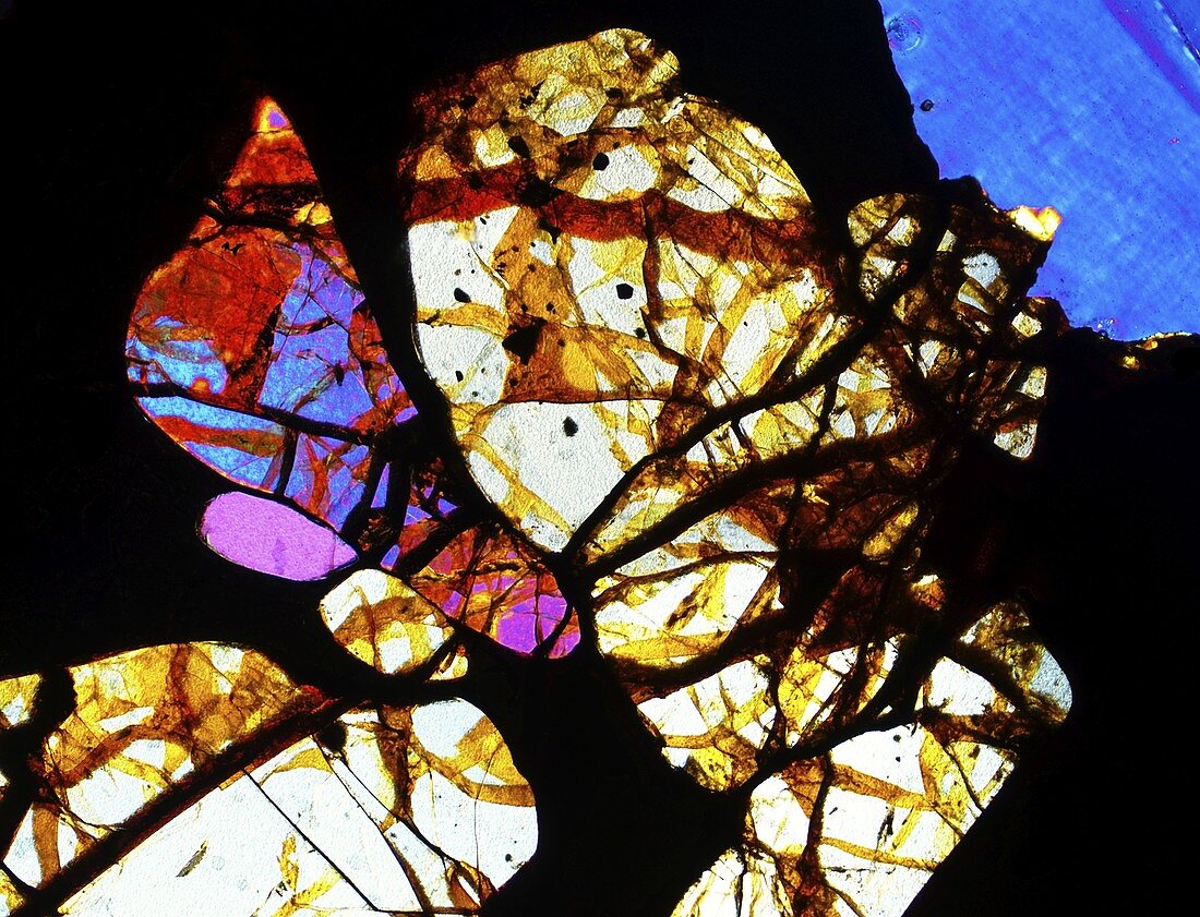 Meteorite Seymchan,light micrograph