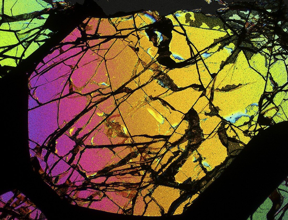 Meteorite Brenham,light micrograph