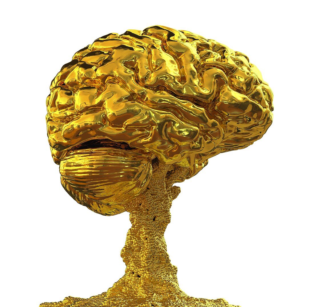 Brain made of gold,conceptual image