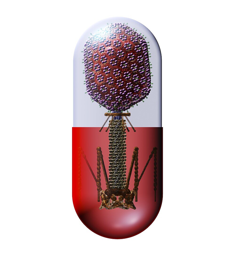Phage therapy capsule,conceptual image