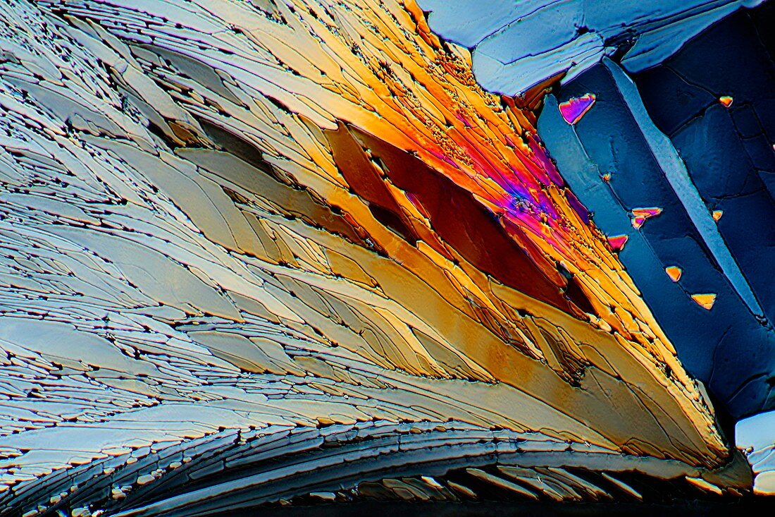 Metformin drug crystals,light micrograph