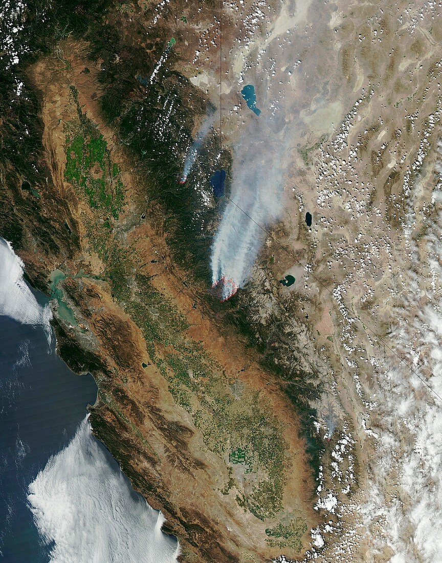 Rim Fire,California,August 2013