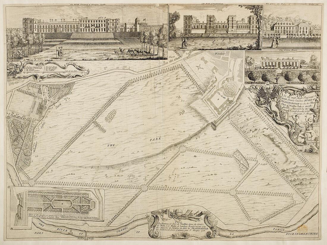 Plan of Windsor Park by JRocque