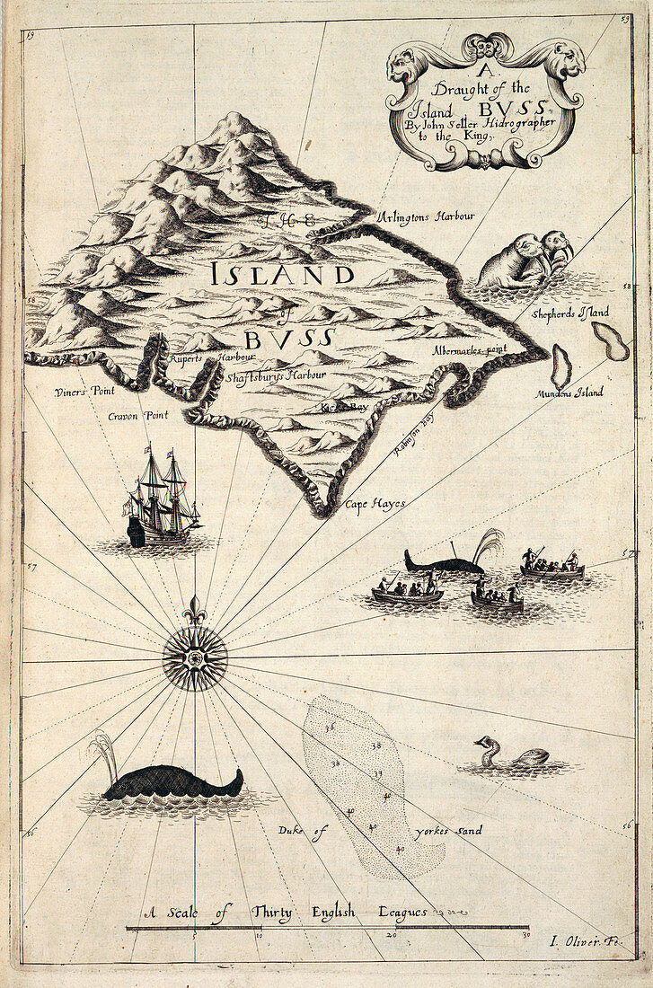 Map of the Island of Buss