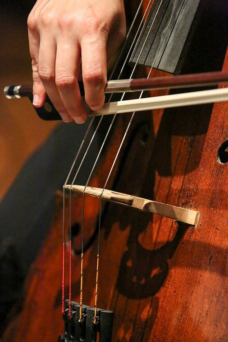 Close up of the cellist's hands