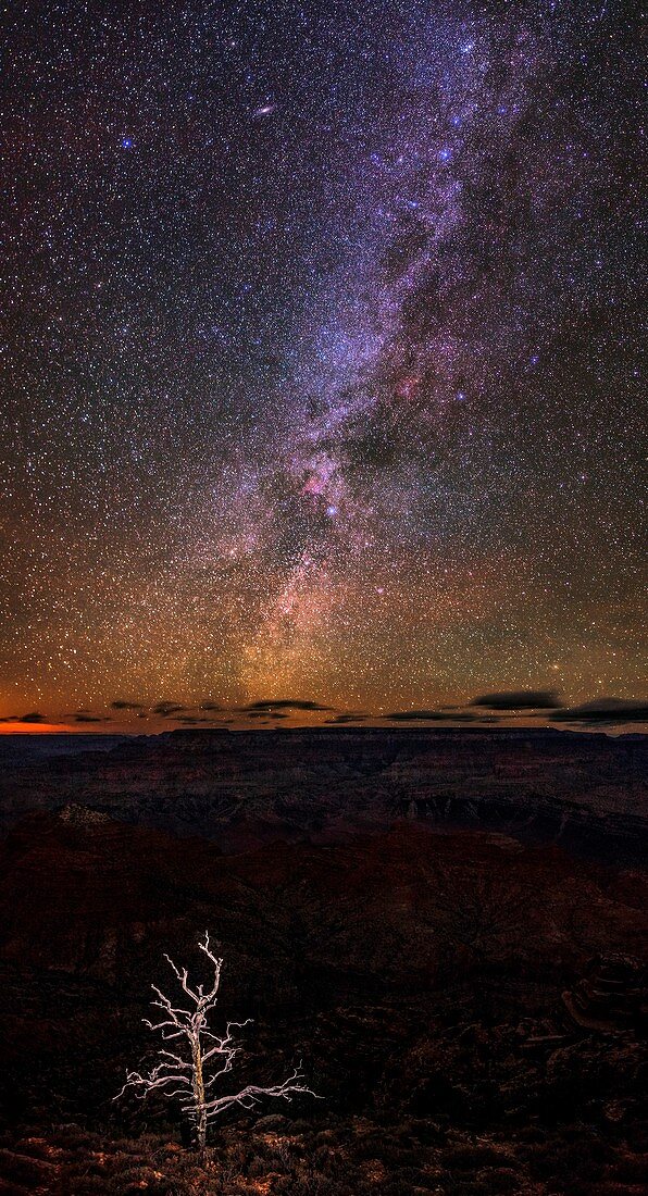 Milky Way above the Grand Canyon