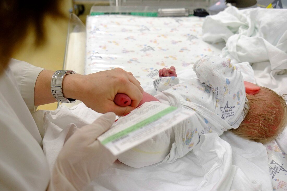 Doctor examines a newborn