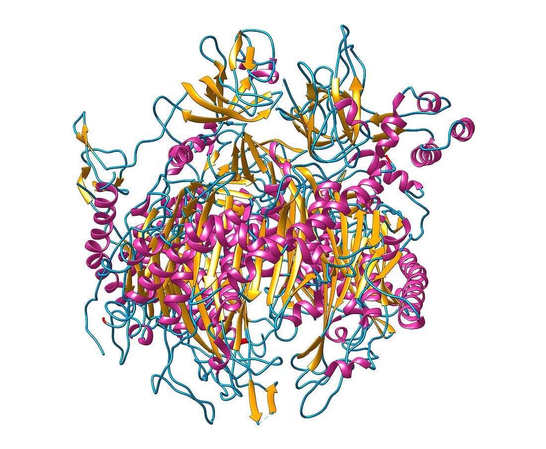 RNA exosome complex,molecular model