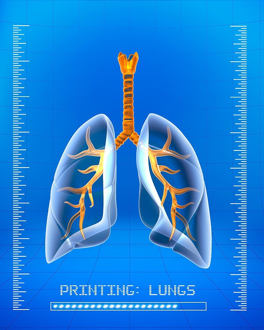 3D printing of human lungs,artwork