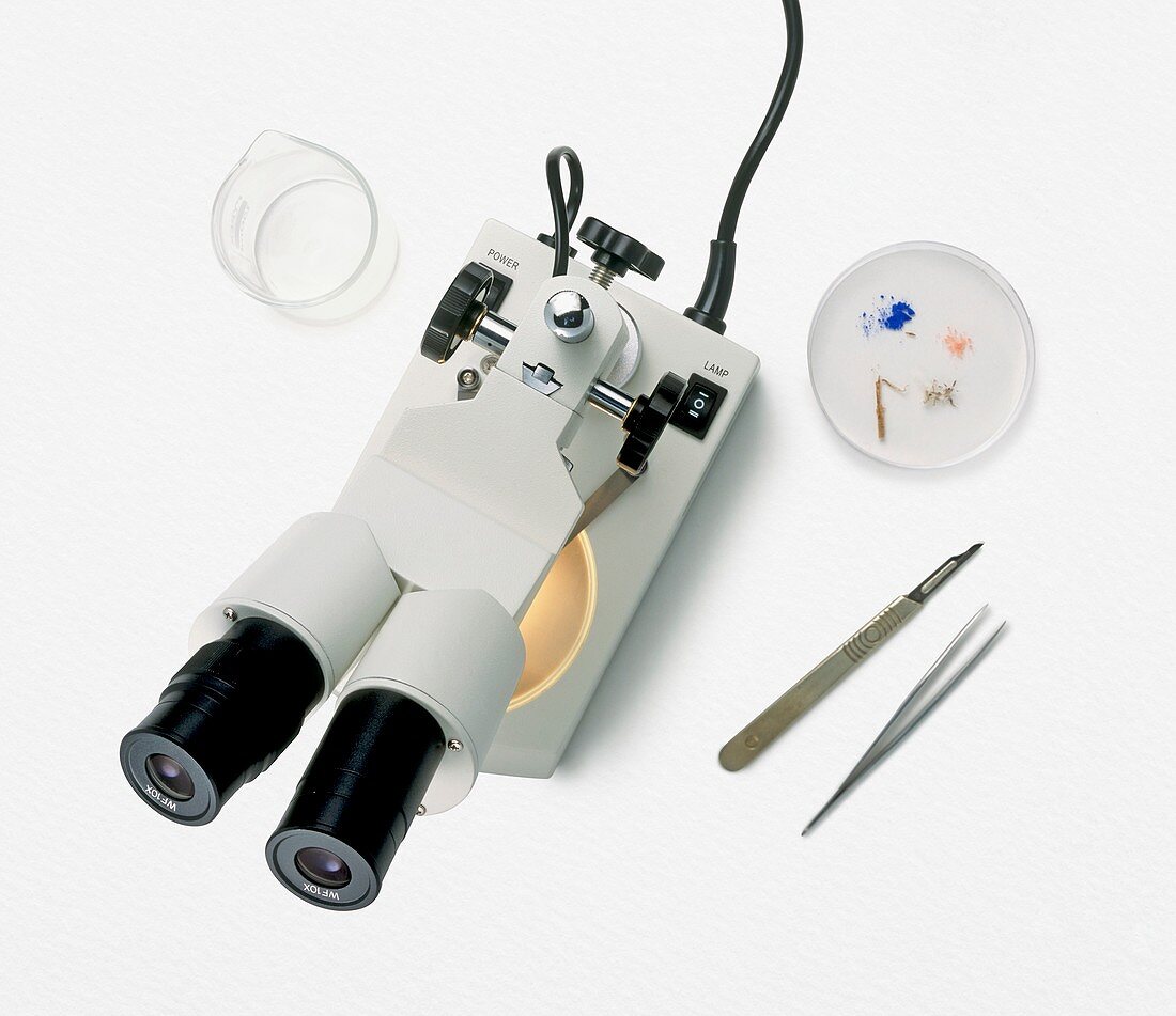 Microscope,beaker,scalpel,tweezers