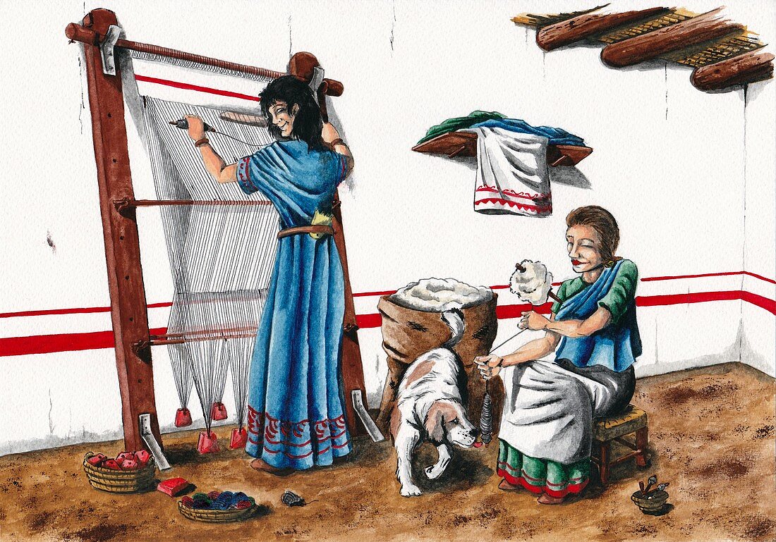 Iberian wool loom,artwork