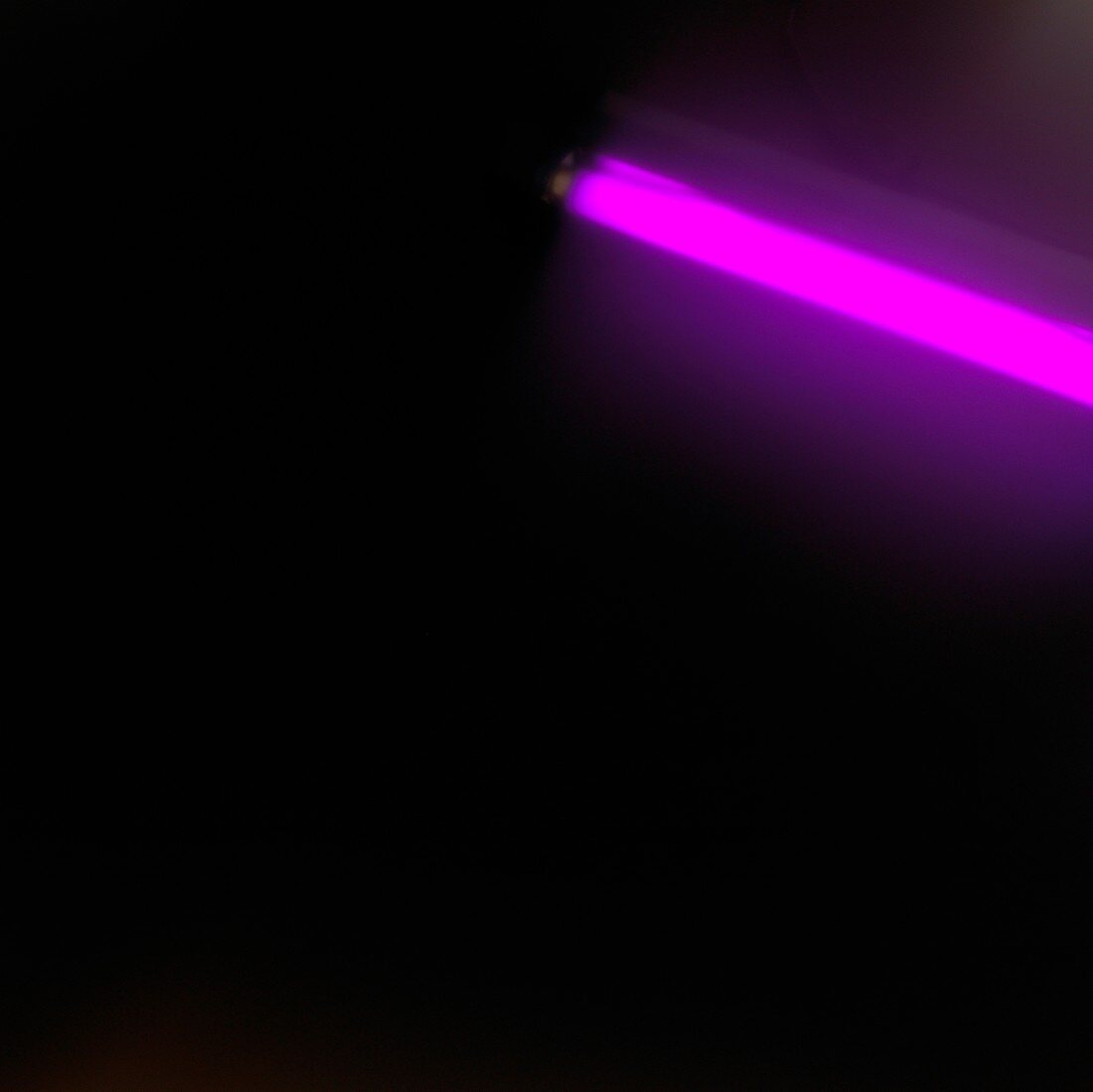 Pink tube light glowing against black
