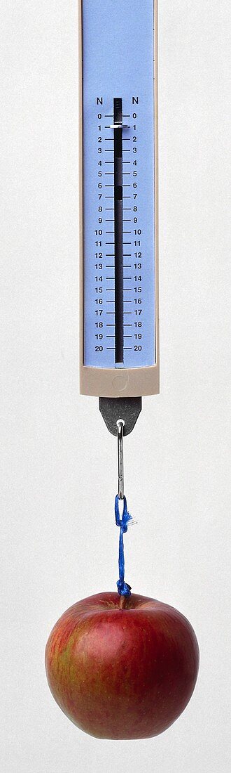 Newton meter measuring force of gravity