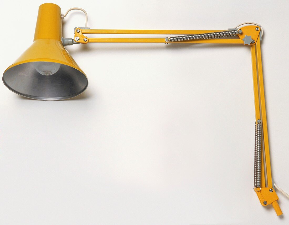 Yellow angled lamp,petri dish
